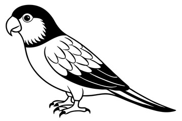 lorikeet line art silhouette vector illustration