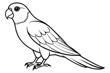 lorikeet line art silhouette vector illustration