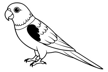 lorikeet line art silhouette vector illustration