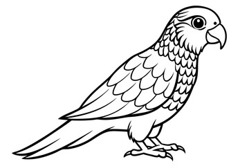 lorikeet line art silhouette vector illustration