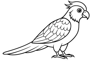 lorikeet line art silhouette vector illustration