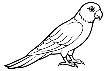 lorikeet line art silhouette vector illustration