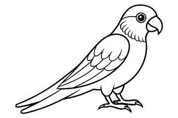lorikeet line art silhouette vector illustration