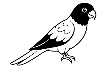 lorikeet line art silhouette vector illustration