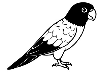 lorikeet line art silhouette vector illustration