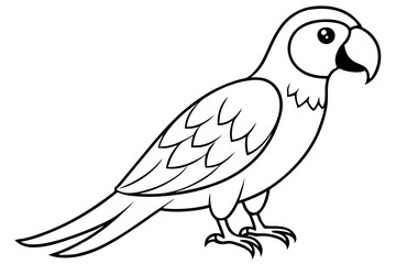 macaw line art silhouette vector illustration