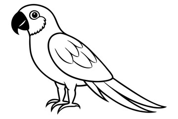 macaw line art silhouette vector illustration