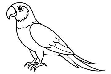 macaw line art silhouette vector illustration