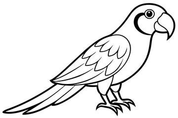 macaw line art silhouette vector illustration