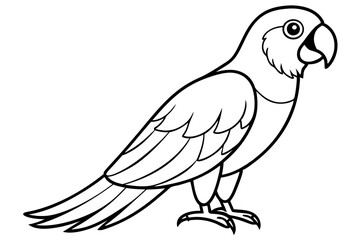 macaw line art silhouette vector illustration