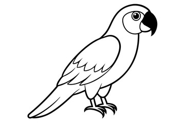 macaw line art silhouette vector illustration