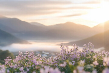 Obraz premium Wildflowers bloom in golden light