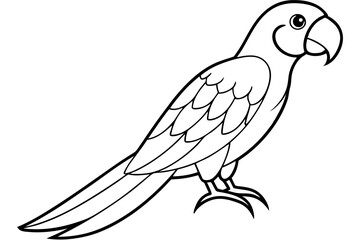 macaw line art silhouette vector illustration