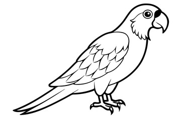 macaw line art silhouette vector illustration