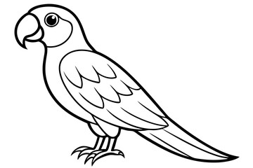 macaw line art silhouette vector illustration