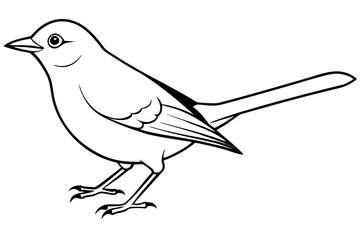 nightingale line art silhouette vector illustration