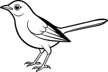 nightingale line art silhouette vector illustration