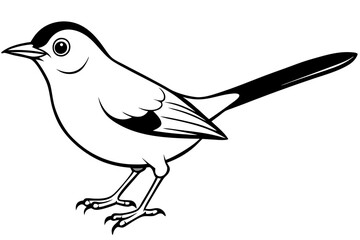 nightingale line art silhouette vector illustration
