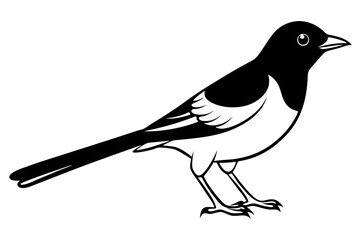 nightingale line art silhouette vector illustration