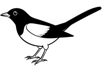 nightingale line art silhouette vector illustration