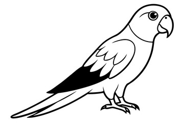 parrot line art silhouette vector illustration