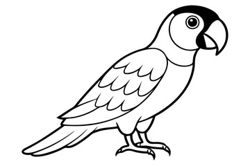parrot line art silhouette vector illustration