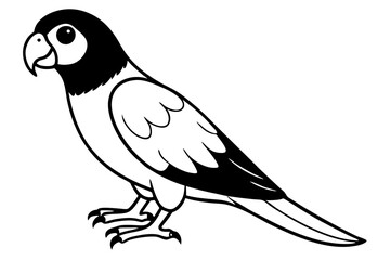 parrot line art silhouette vector illustration