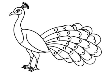peacock line art silhouette vector illustration