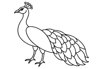 peacock line art silhouette vector illustration