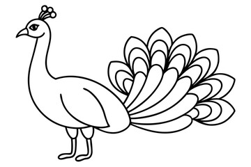 peacock line art silhouette vector illustration