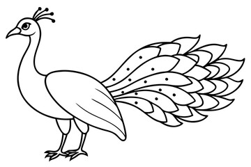 peacock line art silhouette vector illustration