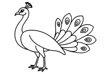 peacock line art silhouette vector illustration