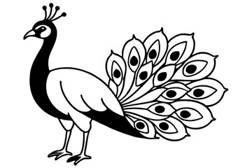 peacock line art silhouette vector illustration