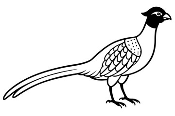 pheasant line art silhouette vector illustration