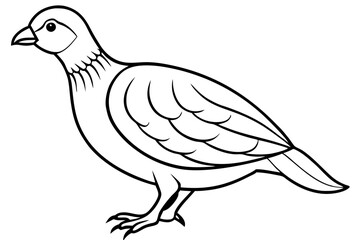 quail line art silhouette vector illustration