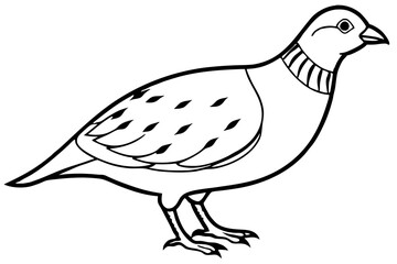 quail line art silhouette vector illustration