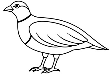 quail line art silhouette vector illustration