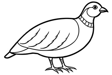 quail line art silhouette vector illustration
