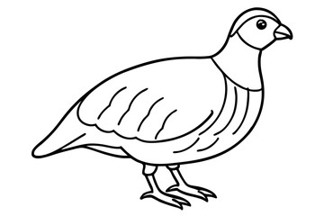 quail line art silhouette vector illustration