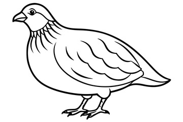 quail line art silhouette vector illustration