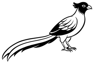 Fototapeta premium quetzal line art silhouette vector illustration