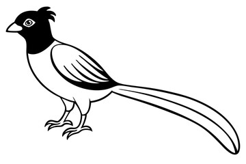Fototapeta premium quetzal line art silhouette vector illustration