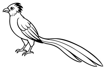 Obraz premium quetzal line art silhouette vector illustration