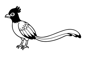 quetzal line art silhouette vector illustration
