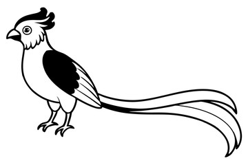 quetzal line art silhouette vector illustration