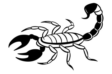 scorpion line art silhouette vector illustration
