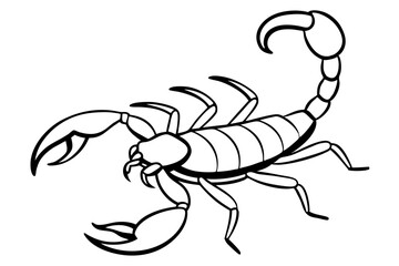 scorpion line art silhouette vector illustration