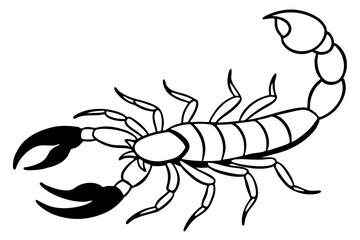 scorpion line art silhouette vector illustration