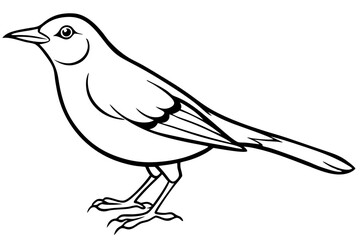 thrush line art silhouette vector illustration