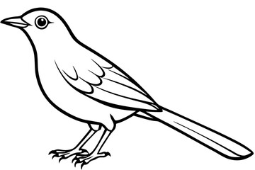thrush line art silhouette vector illustration